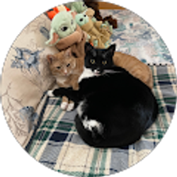 Profile photo of LRae Follis