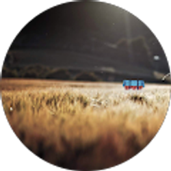 Profile photo of JaxMorgan