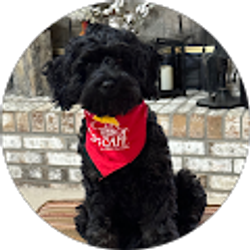 Profile photo of Jody Monkman