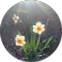 Profile photo of Wendy Sweatt