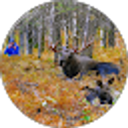 Profile photo of Erica Lapham