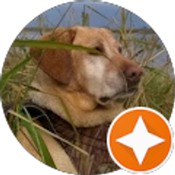 Profile photo of Dave Lennihan