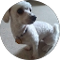 Profile photo of Allison