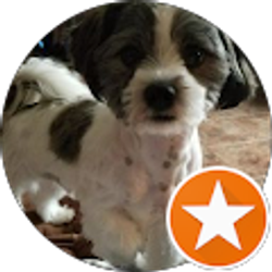 Profile photo of Jonathan Carlin