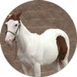 Profile photo of Linda Oasheim