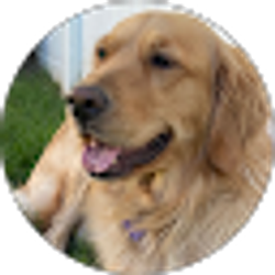 Profile photo of L Vic