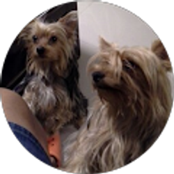 Profile photo of Juan Rodriguez