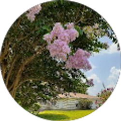 Profile photo of Lana Royal