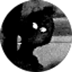 Profile photo of Raerae Reagan