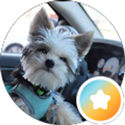 Profile photo of Lisa Burrow