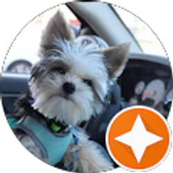 Profile photo of Lisa Burrow