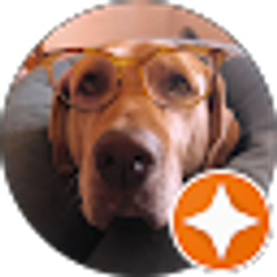 Profile photo of Lorena