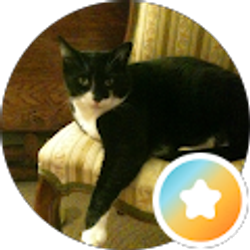 Profile photo of Sharon Tompkins