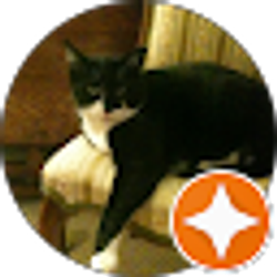 Profile photo of Sharon Tompkins