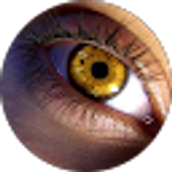 Profile photo of Donna Wolfe