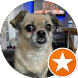 Profile photo of Michael Neitz