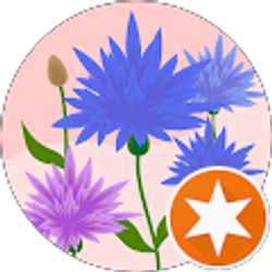 Profile photo of Dianne DArensbourg