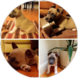 Profile photo of Agnes Ng