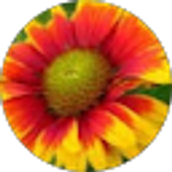Profile photo of Adrian Blamires
