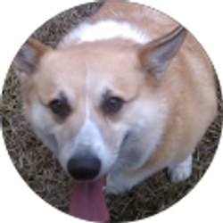 Profile photo of lisa mullenix