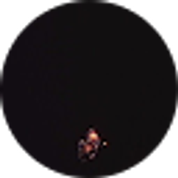 Profile photo of Fred Sexton Jr