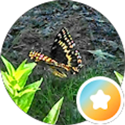 Profile photo of Jeri Barras
