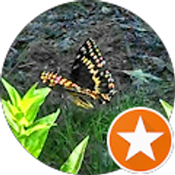 Profile photo of Jeri Barras