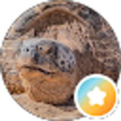 Profile photo of Theron Peck