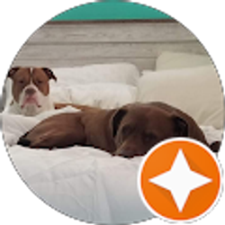 Profile photo of Katz