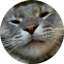 Profile photo of Alicia Boe