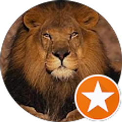 Profile photo of Katie Pabst