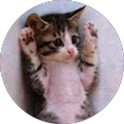 Profile photo of J W