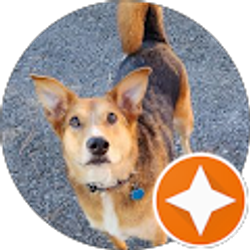 Profile photo of Dae Stephenson