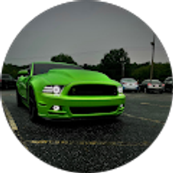 Profile photo of Dylan Schlegel