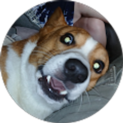 Profile photo of Gary Glum