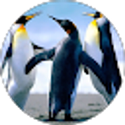 Profile photo of Isla Crown