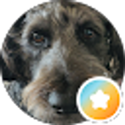 Profile photo of Alan