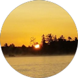 Profile photo of Tim Foster