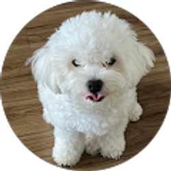 Profile photo of Mimi Castro