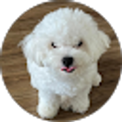 Profile photo of Mimi Castro