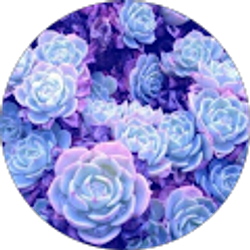 Profile photo of Jeanine Beckles