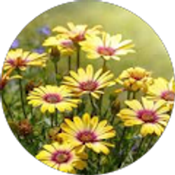 Profile photo of Marianne