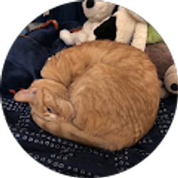 Profile photo of Nicole Cote