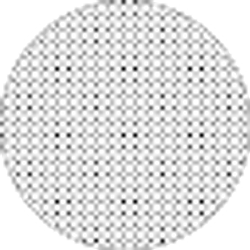 Profile photo of Joslyn Sellers