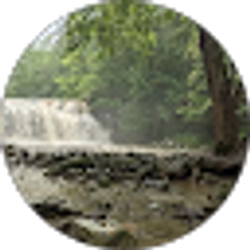 Profile photo of Samiya Natesan-Torres