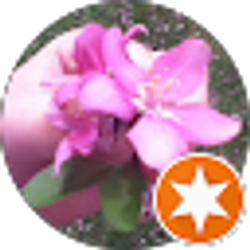 Profile photo of adriana zermeno