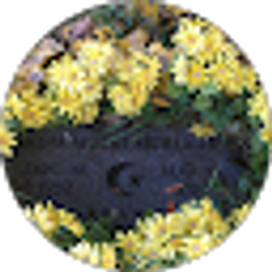 Profile photo of Abdulla Hassan