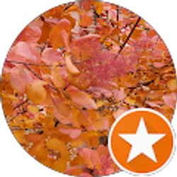 Profile photo of Michele