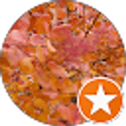 Profile photo of Michele