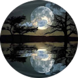 Profile photo of Shelby Mcmanus